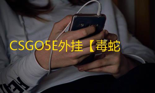CSGO5E外挂【毒蛇/透饰/梓喵/仅支持5E平台】辅助